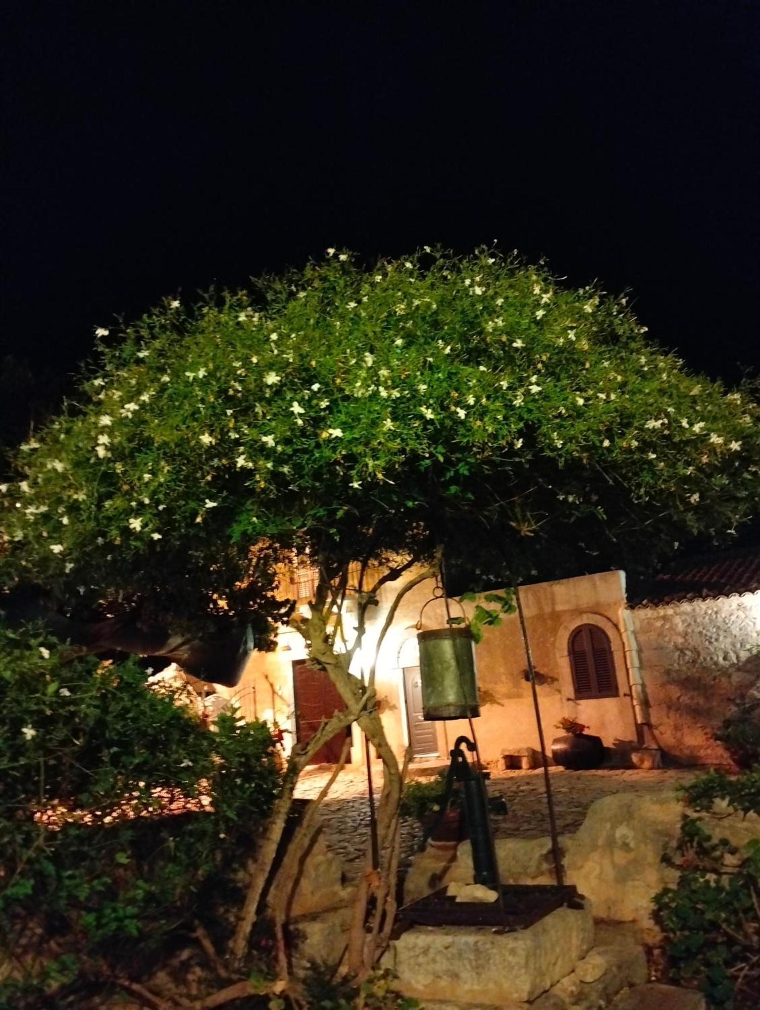Villa I Dammusi Santa Croce Camerina Exterior foto